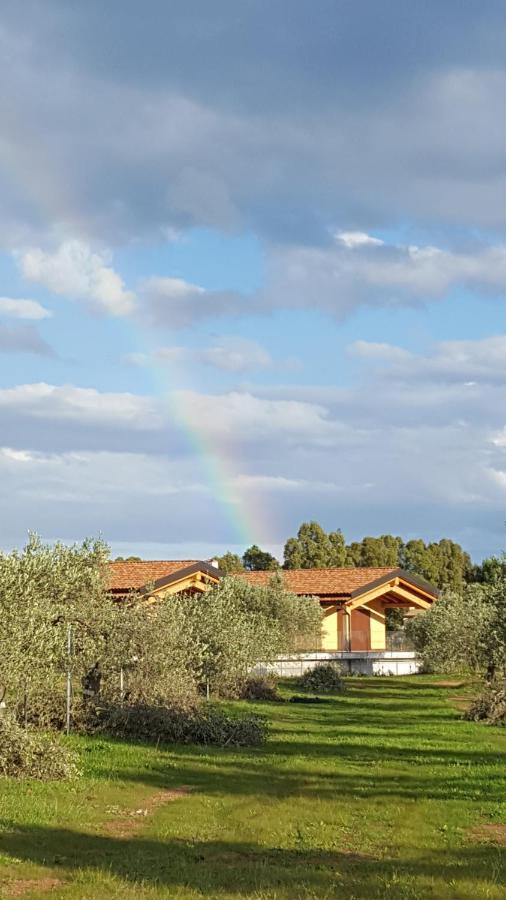 Agriturismo Corte Degli Ulivi Villa Capoterra Exterior photo